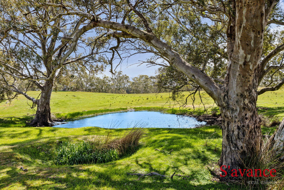  Seager Road Mount Pleasant SA 5235