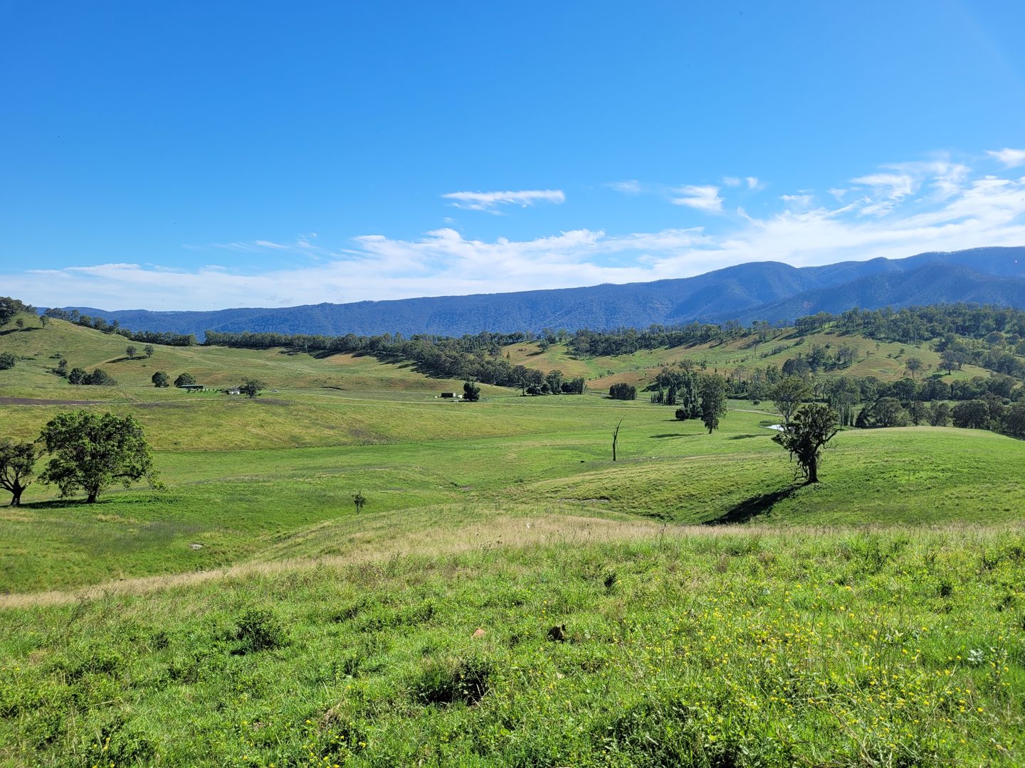 552 Neringla Road Neringla NSW 2622