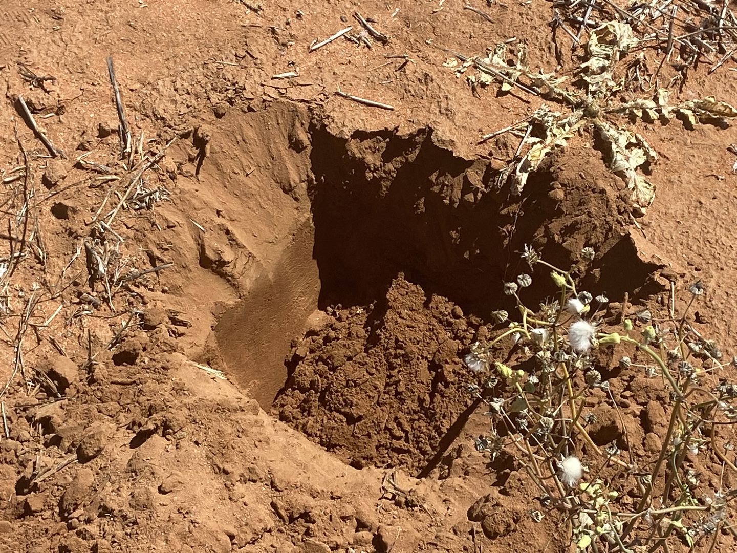 23060 Sturt Highway Yamba SA 5340