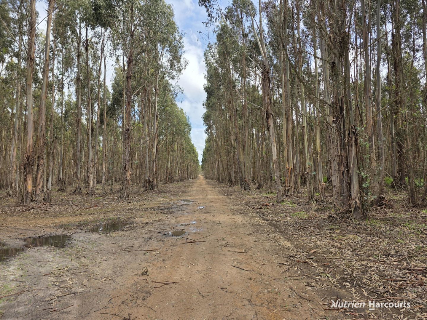 1458 Palmdale Road Palmdale WA 6328