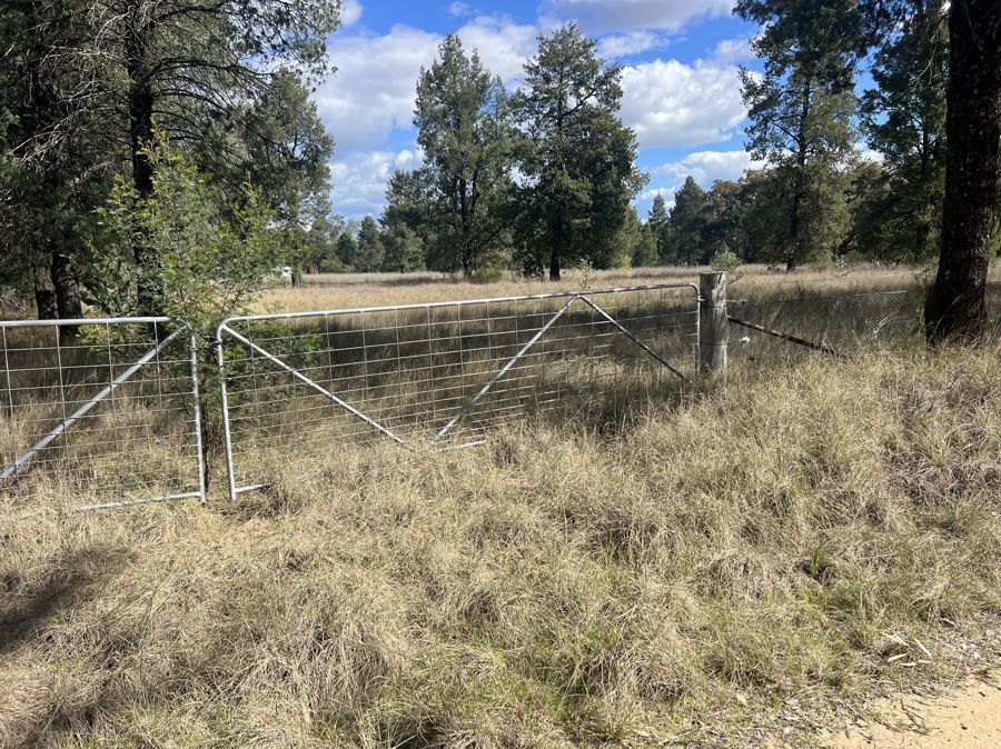 Part 127 Creek Road Baradine NSW 2396