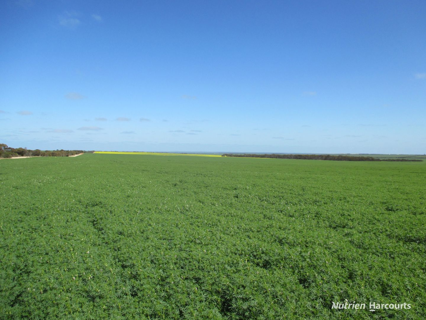 8717 Hyden-Lake King Road Varley WA 6355