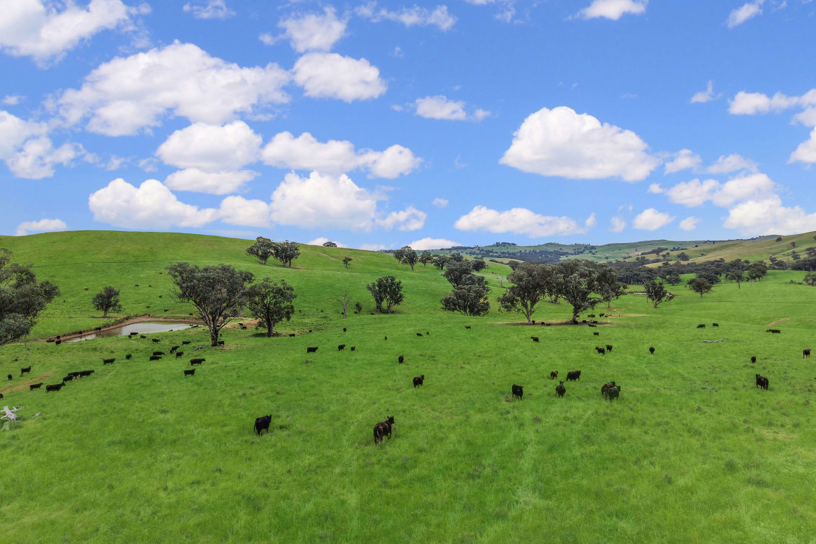  'horse Gully' Old Waugoola Road Woodstock NSW 2793