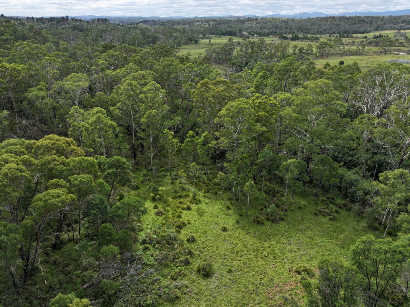 14 Ningee Nimbell Creek Road Braidwood NSW 2622