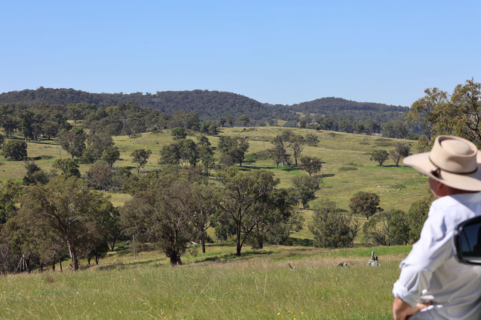 380 Nandi Road Canyonleigh NSW 2577