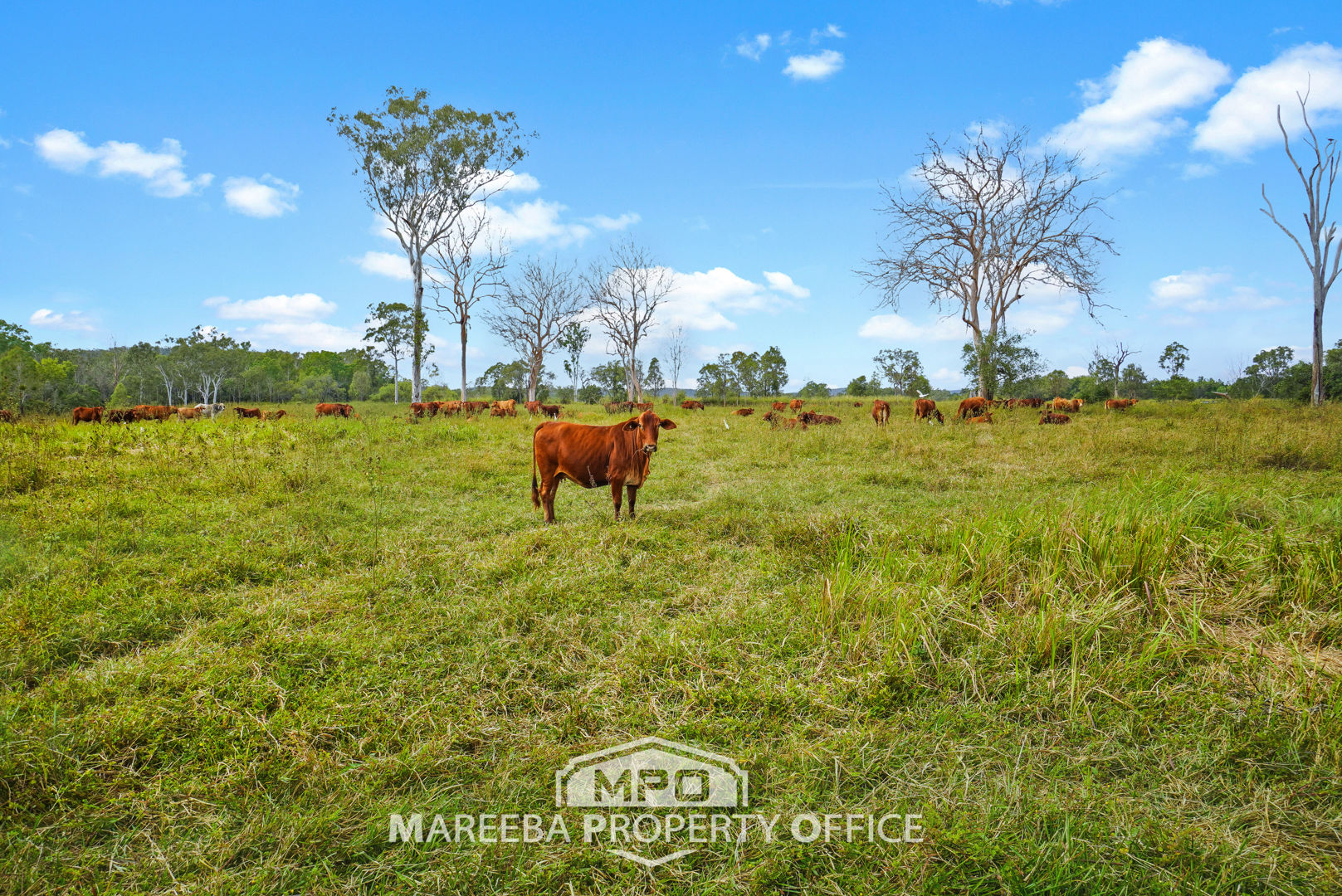 764 Hodzic Road Biboohra QLD 4880