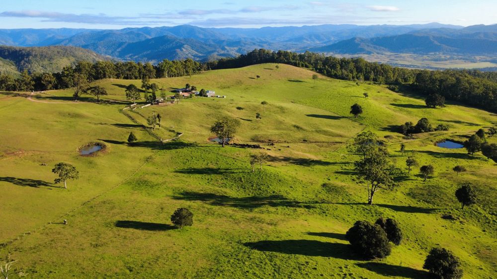 669 Costigans Road Yarras NSW 2446