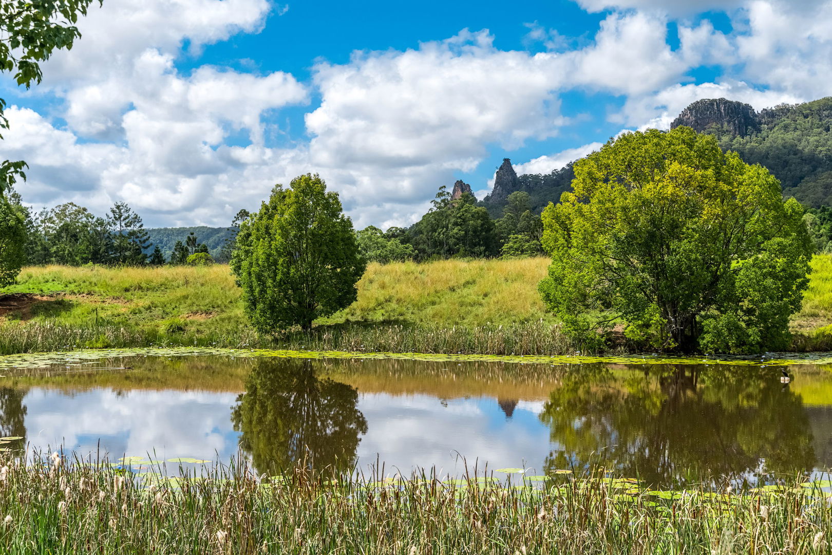219 Stony Chute Road Nimbin NSW 2480