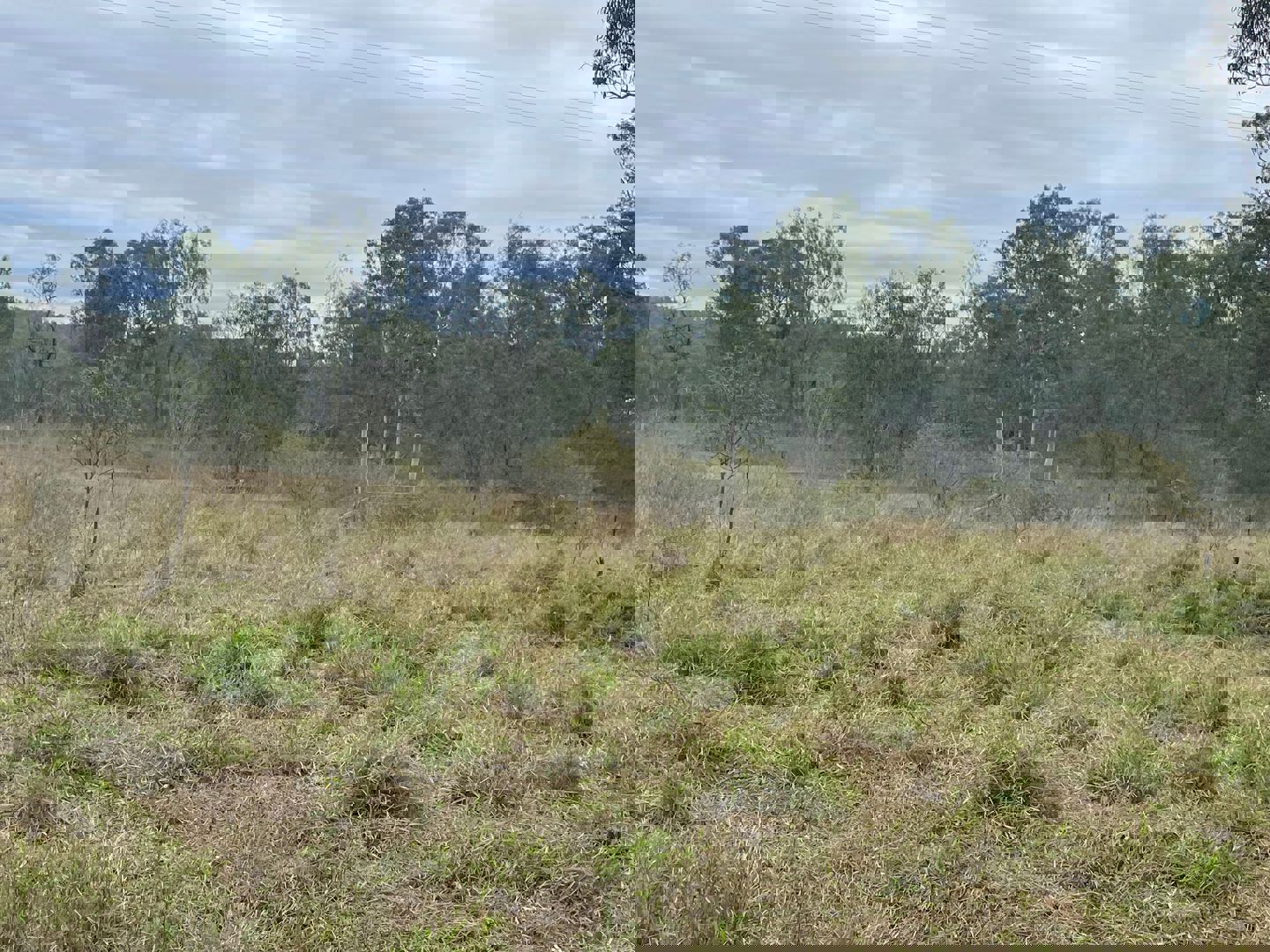 33 Little Road Westwood QLD 4702