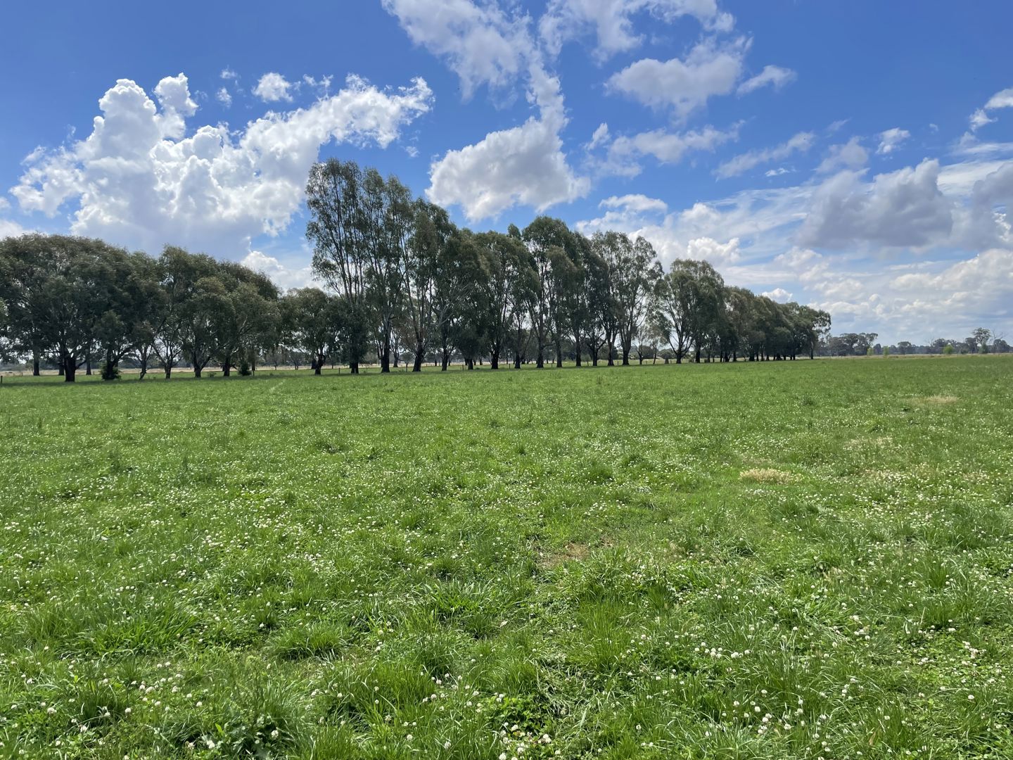 630 Morrissey Road Girgarre VIC 3624