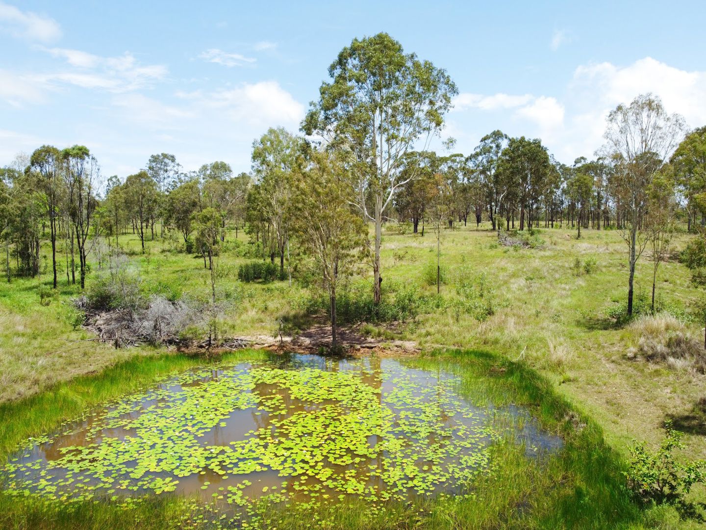 459 Ferry Road Rosedale QLD 4674