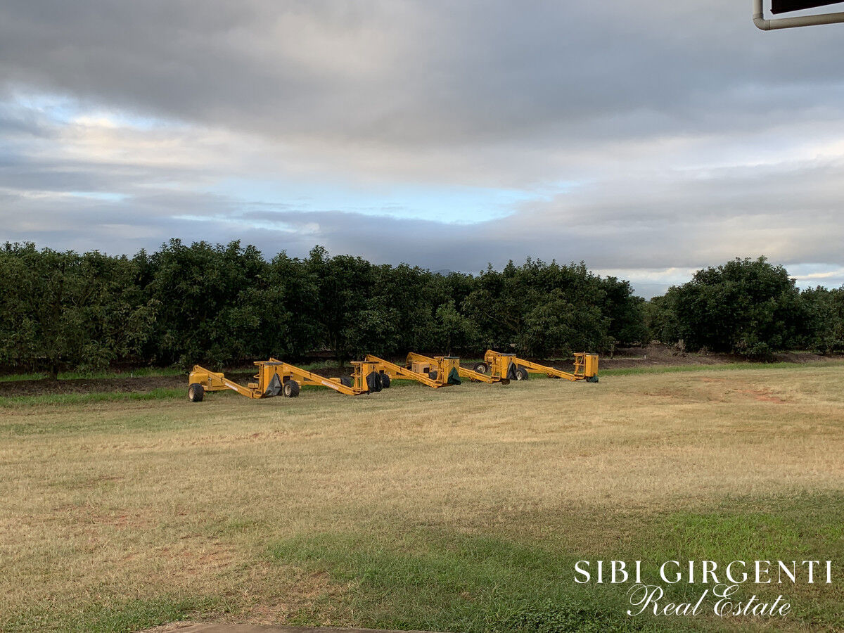 1611 Mareeba-Dimbulah Arriga QLD 4880