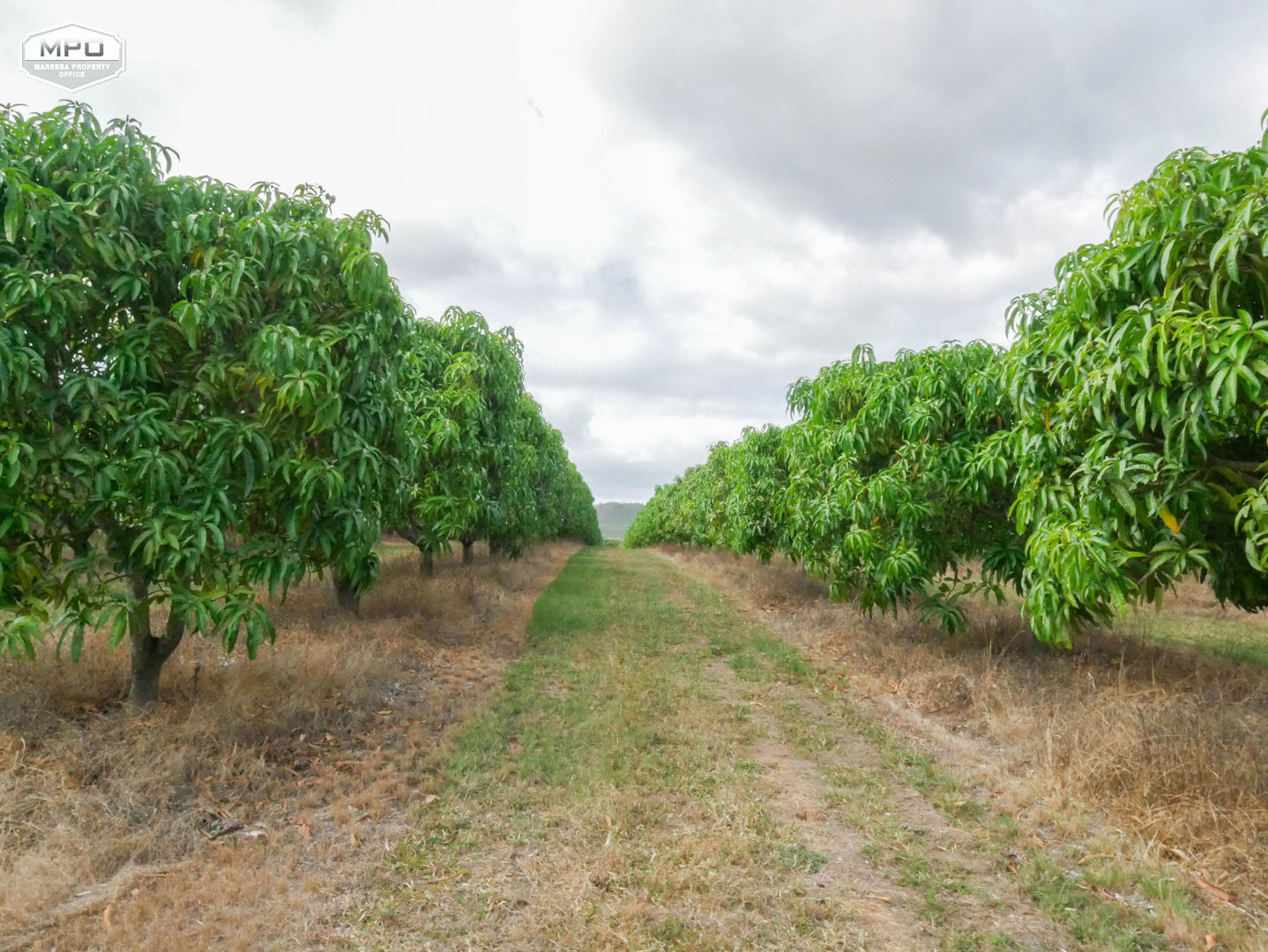 Dimbulah QLD 4872