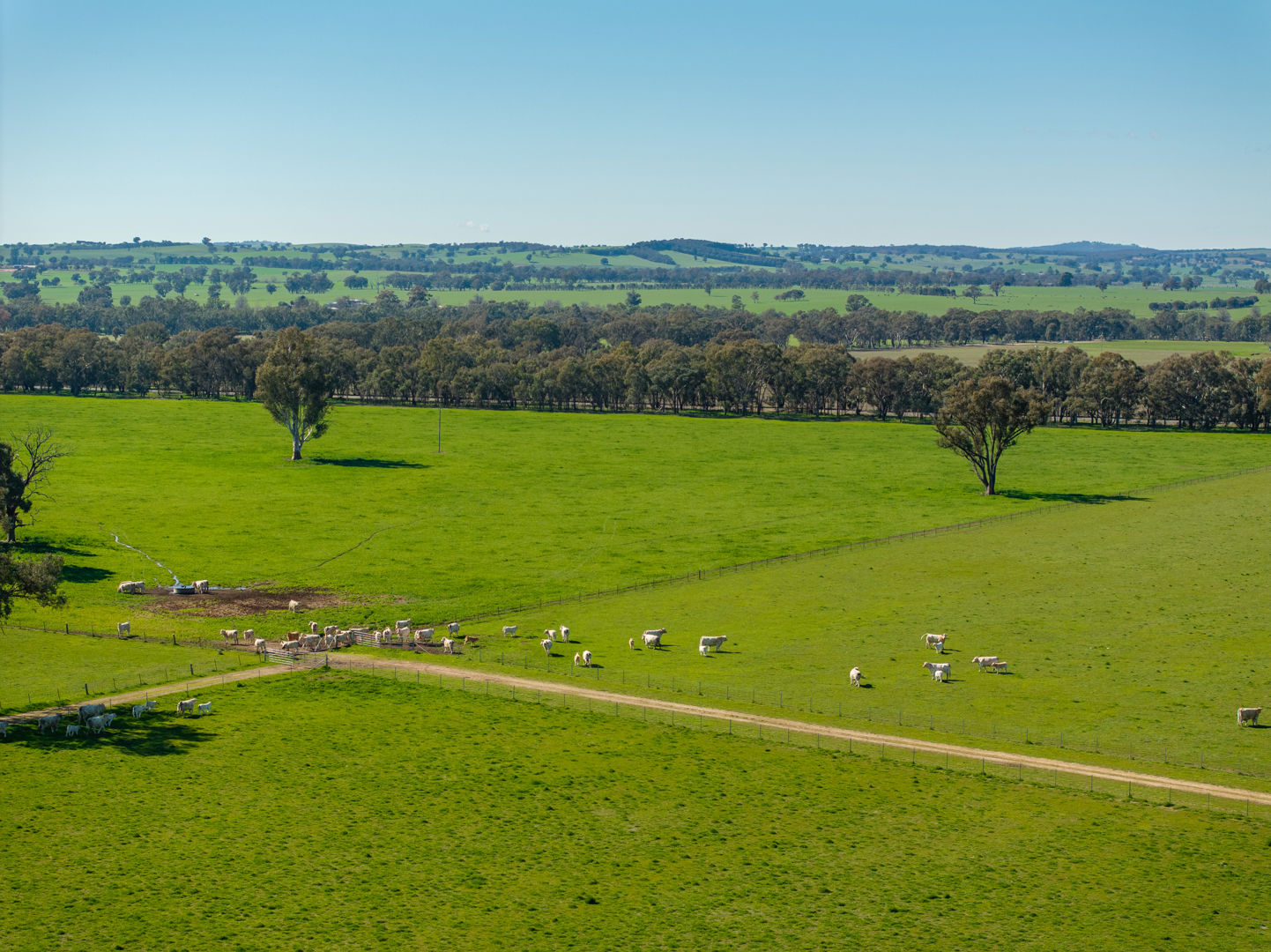 2018 Henty Cookardinia Road Cookardinia NSW 2650