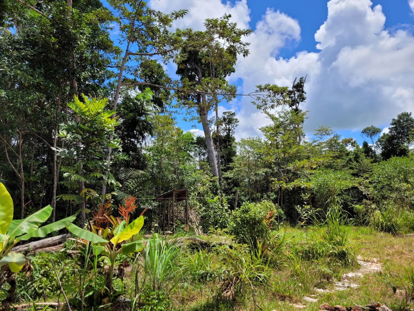 Lot 213 Kelly Road Ellinjaa QLD 4886