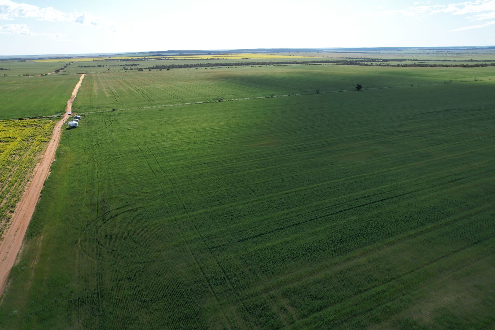 Tenindewa Williamson Road Mullewa WA 6630