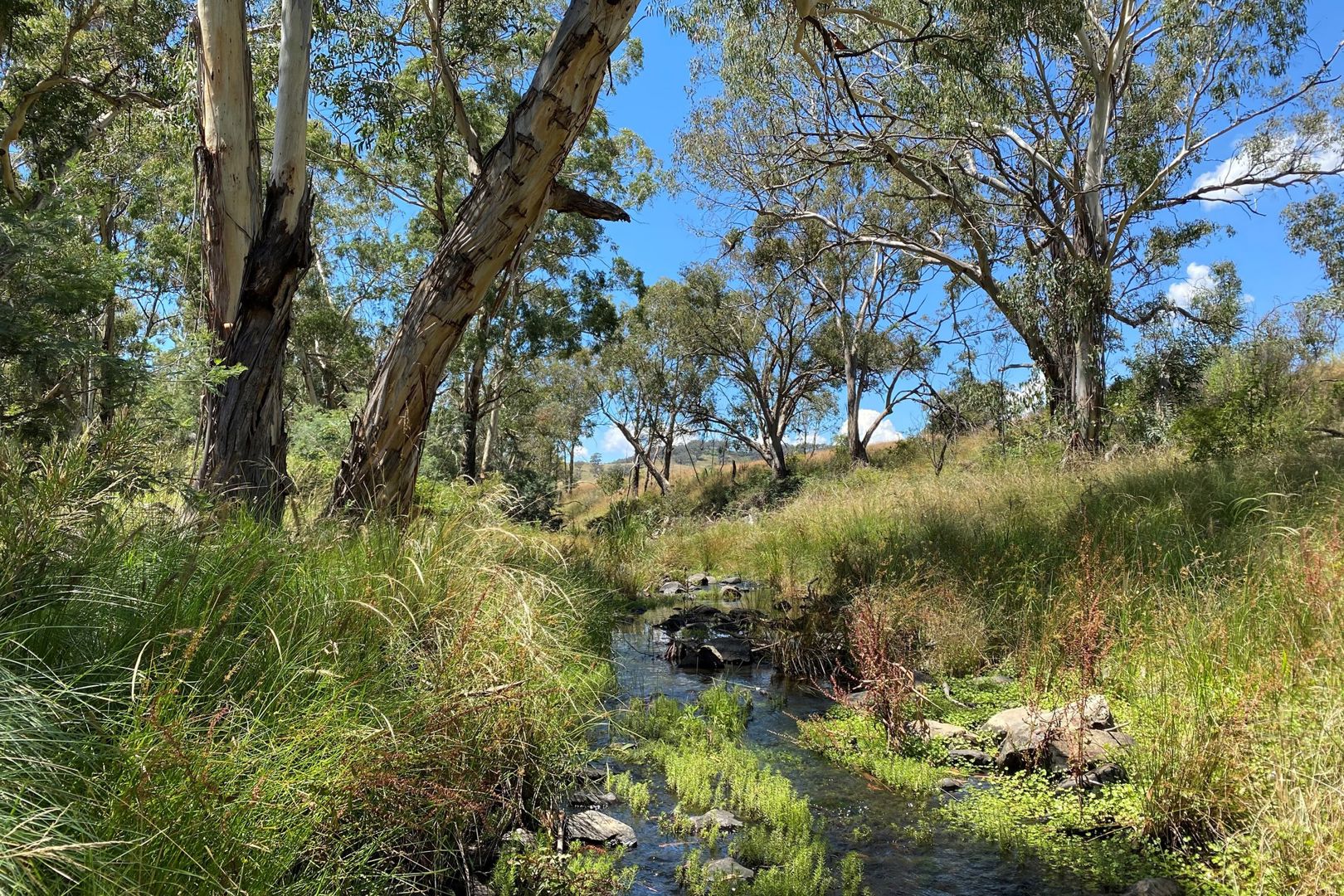  Campbells Creek Road Mudgee NSW 2850