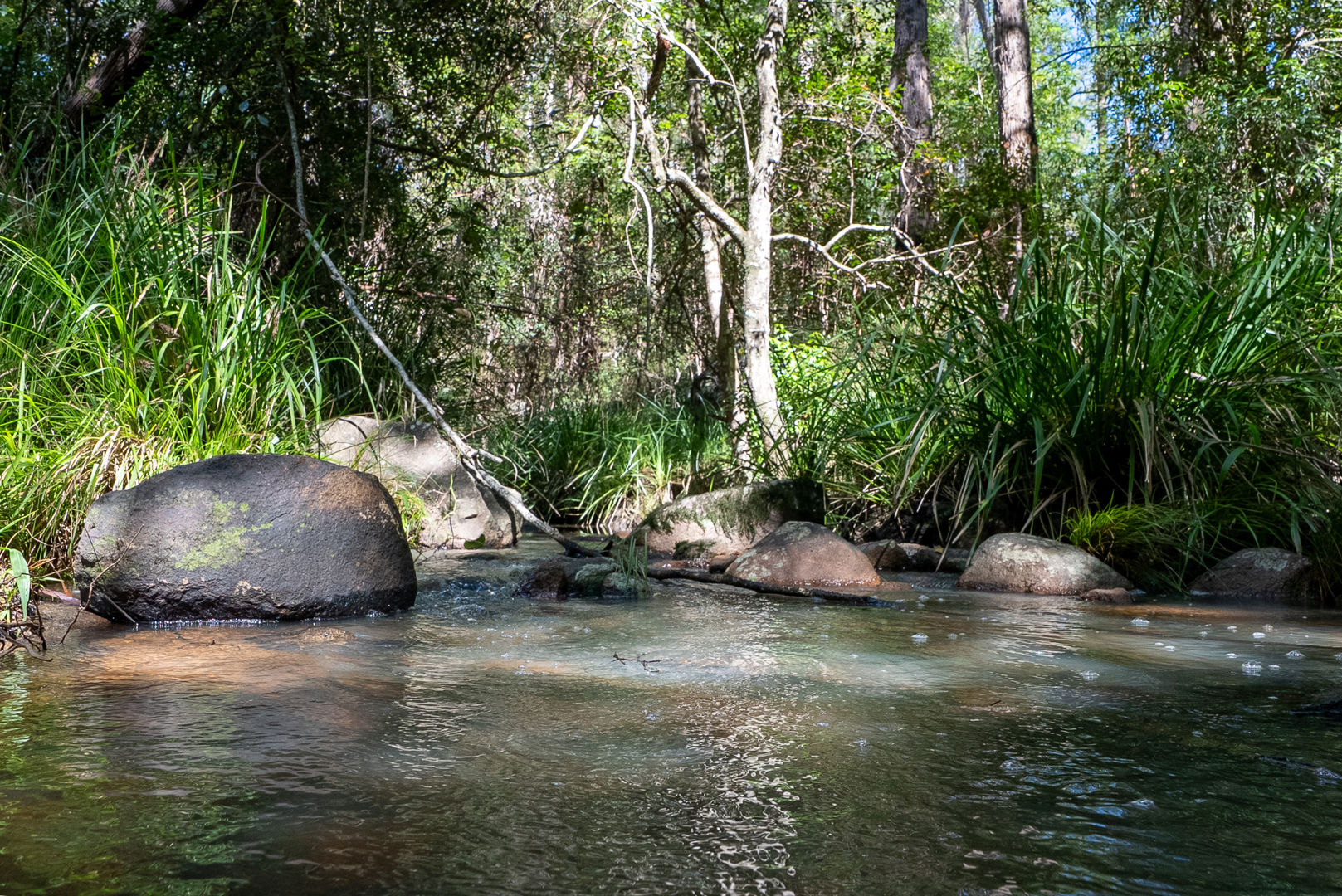  Bellthorpe Road Sandy Creek QLD 4515
