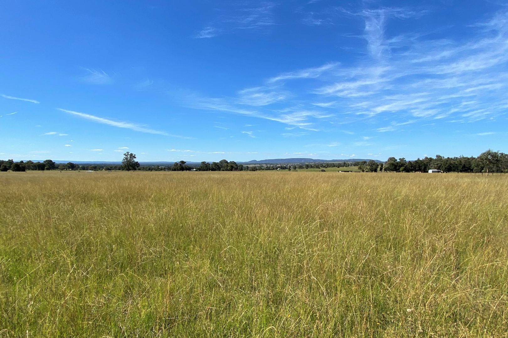 195 Lowes Peak Road Mudgee NSW 2850