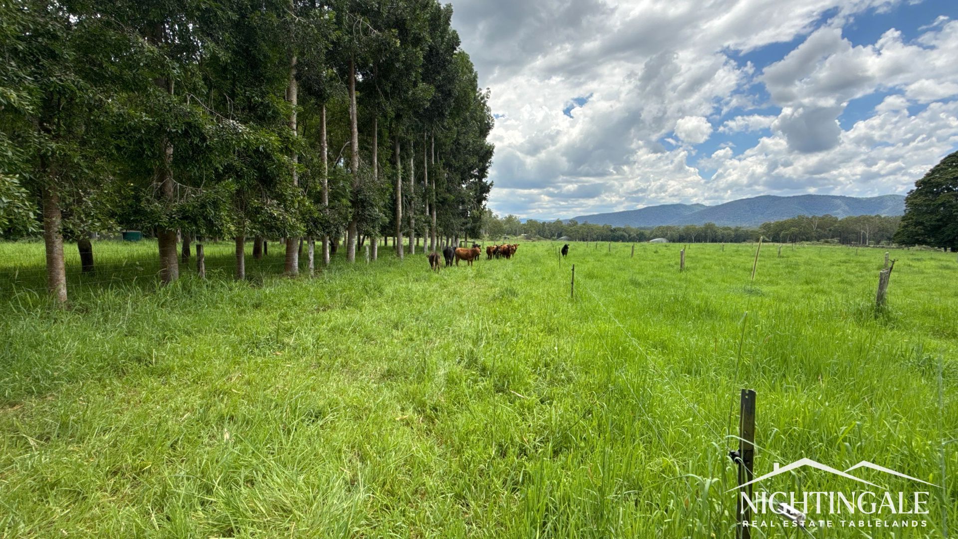 8622 Kennedy Highway Atherton QLD 4883