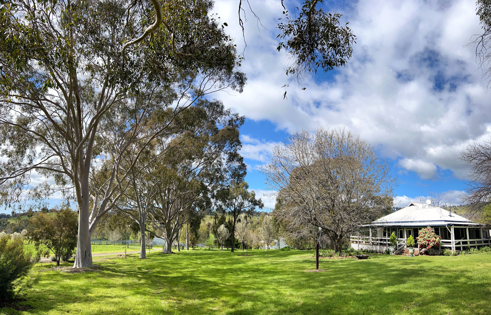 252 Welshs Road Baddaginnie VIC 3670