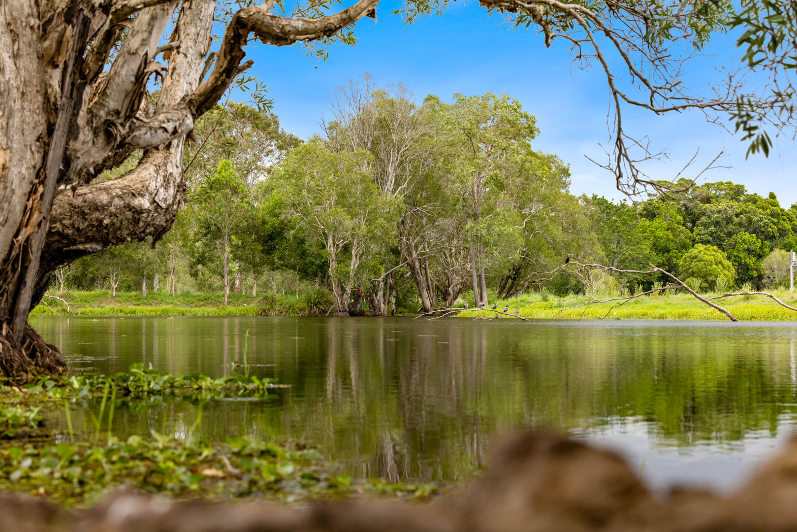 6 Canando Street Woodford QLD 4514