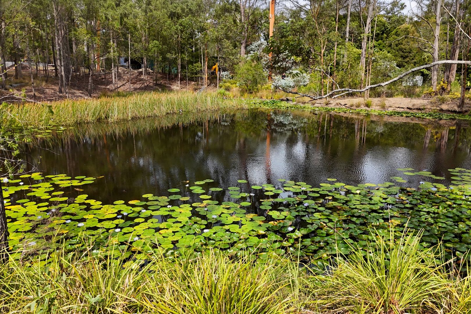 75 Smiths Creek Road Kundabung NSW 2441