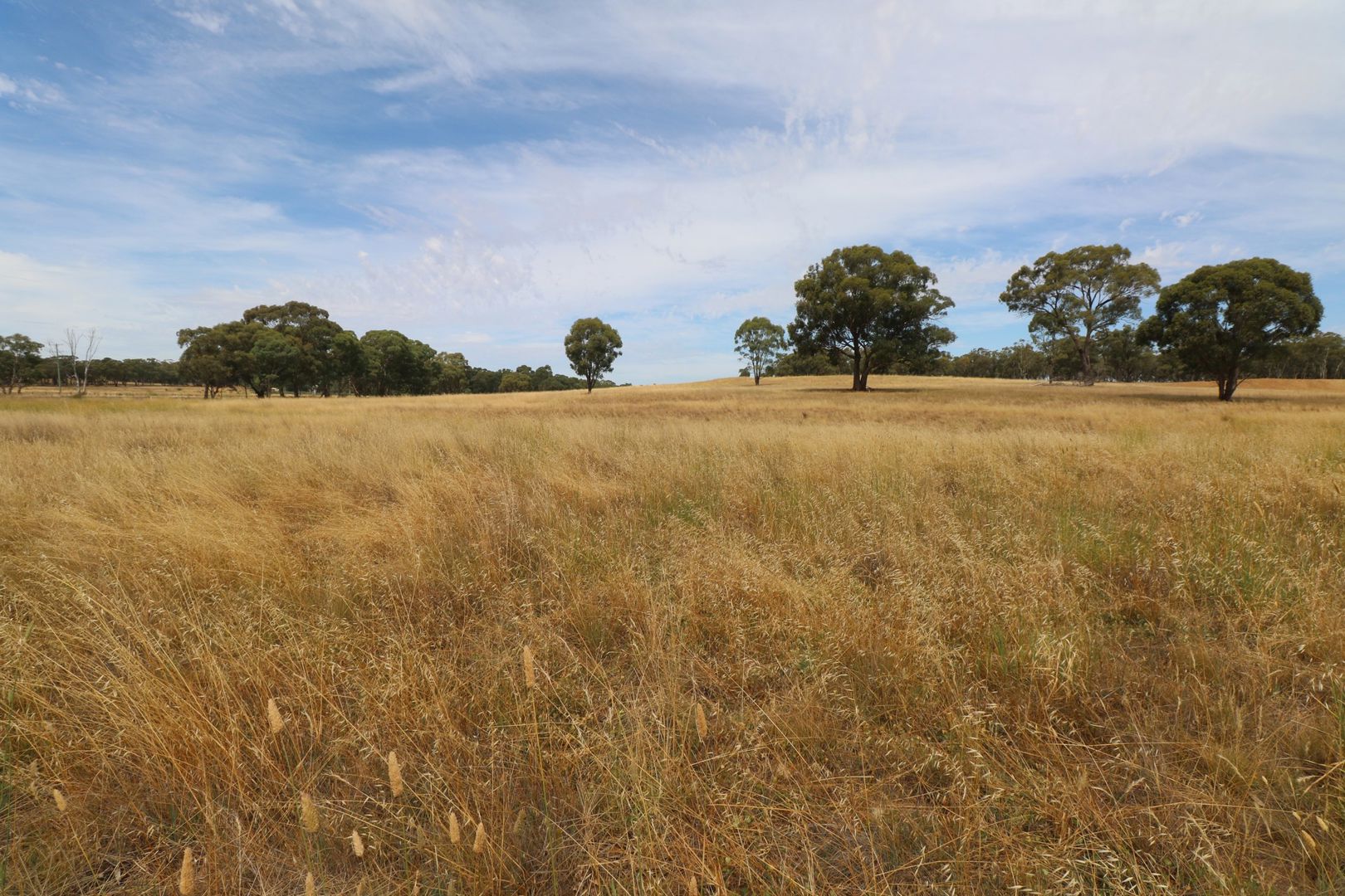  Calder Highway Wedderburn VIC 3518