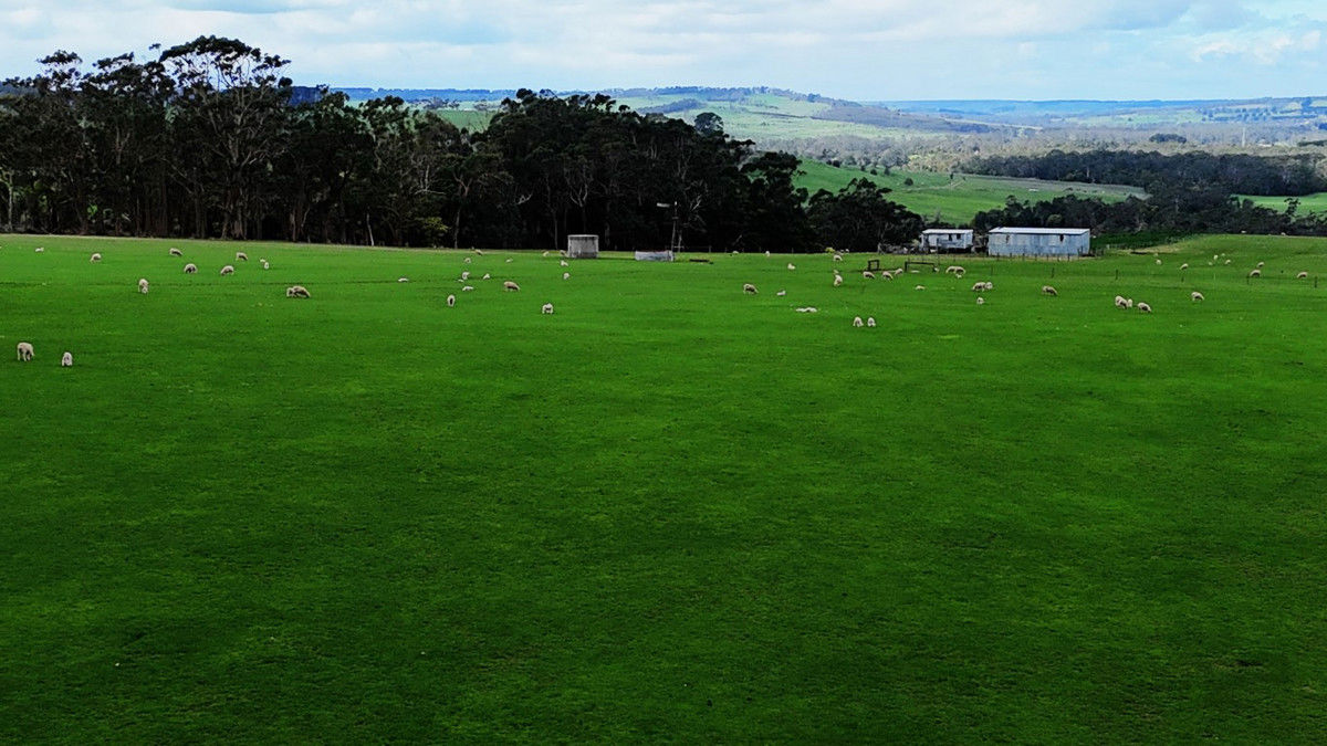  Doreys Road Scotts Creek VIC 3267