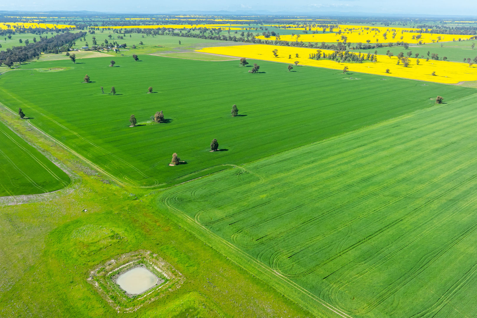 153 Balldale-Coreen Road Corowa NSW 2646