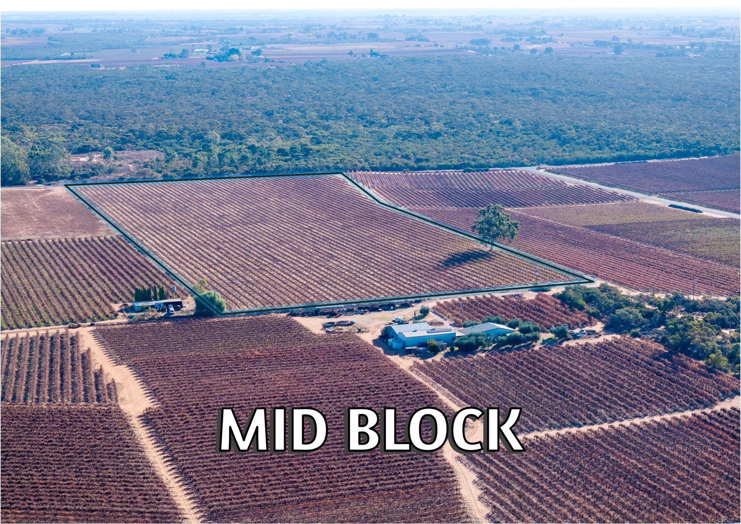 Lt 192 Puddletown Road Winkie SA 5343
