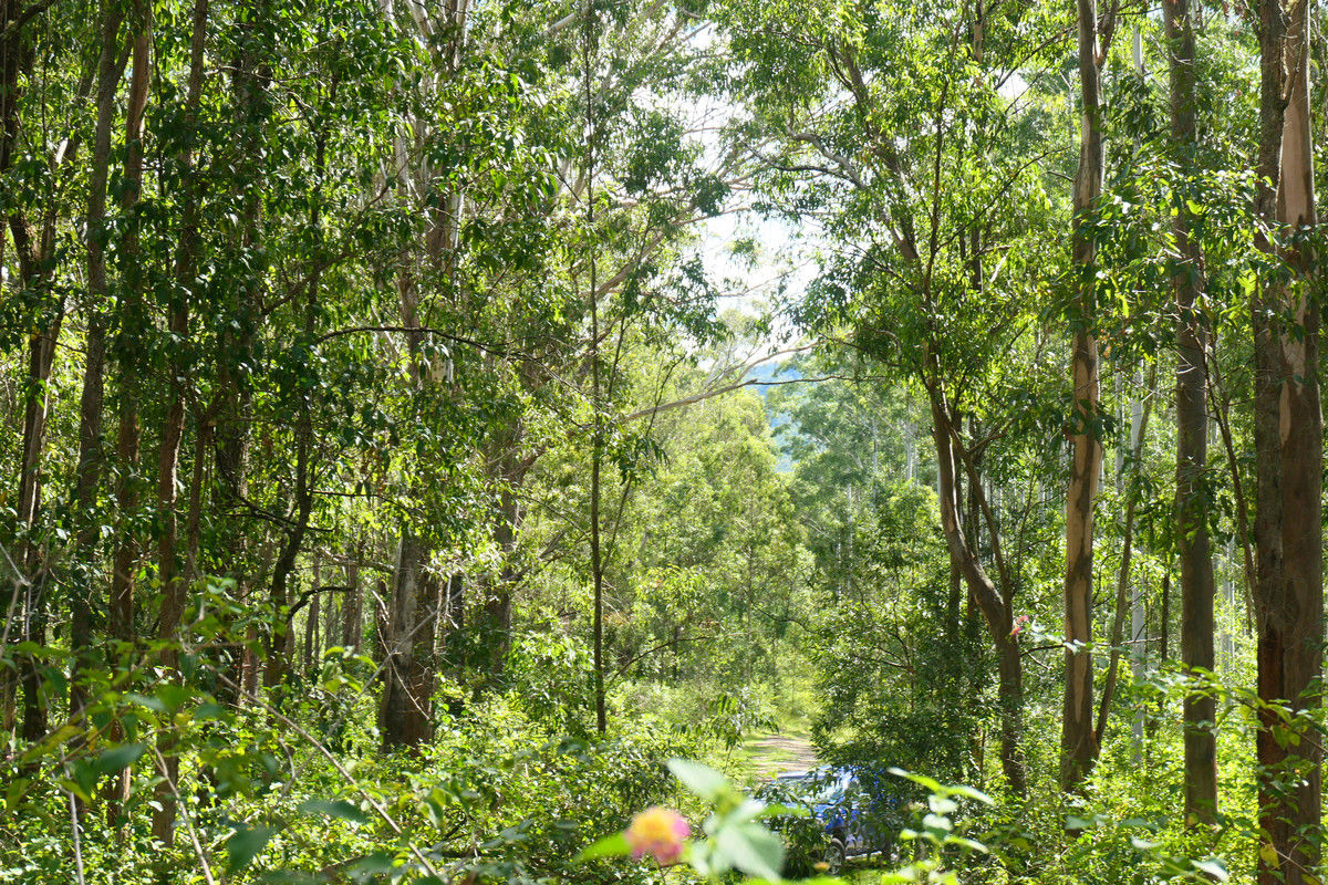 146 Mills Road Bean Creek NSW 2469