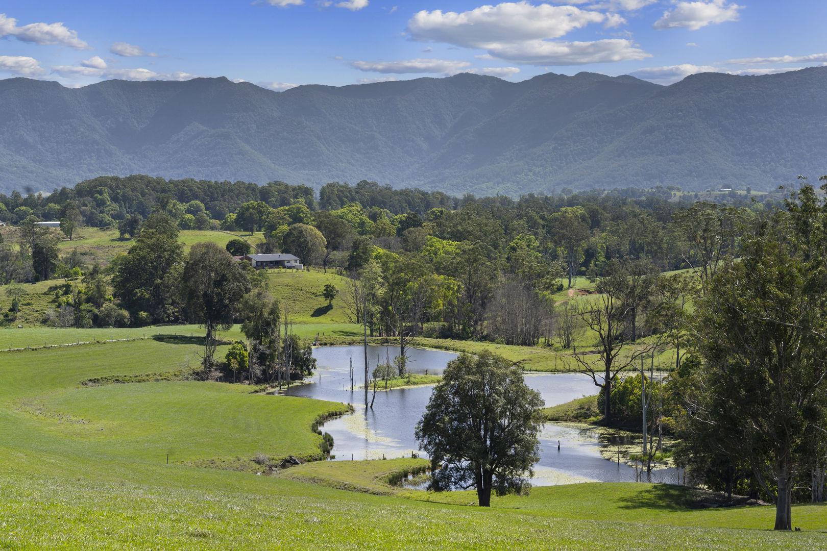 703 Brays Creek Road Brays Creek NSW 2484