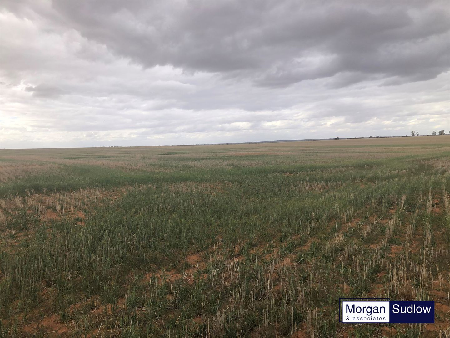 RURAL LANDHOLDING Trayning WA 6488