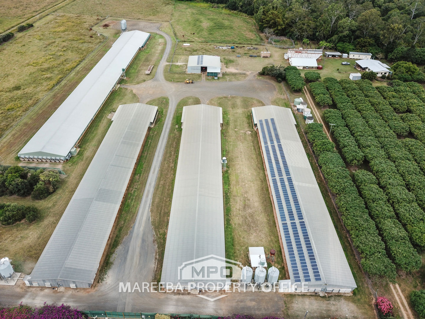 1004 Bilwon Road Biboohra QLD 4880