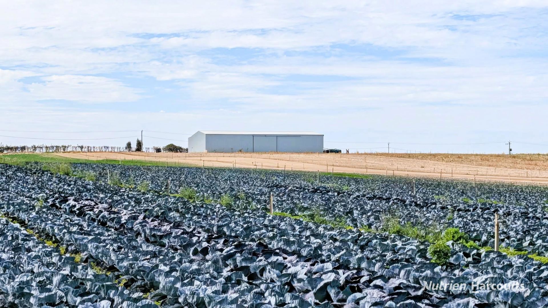 Lot 74 Croot Place Woodridge WA 6041