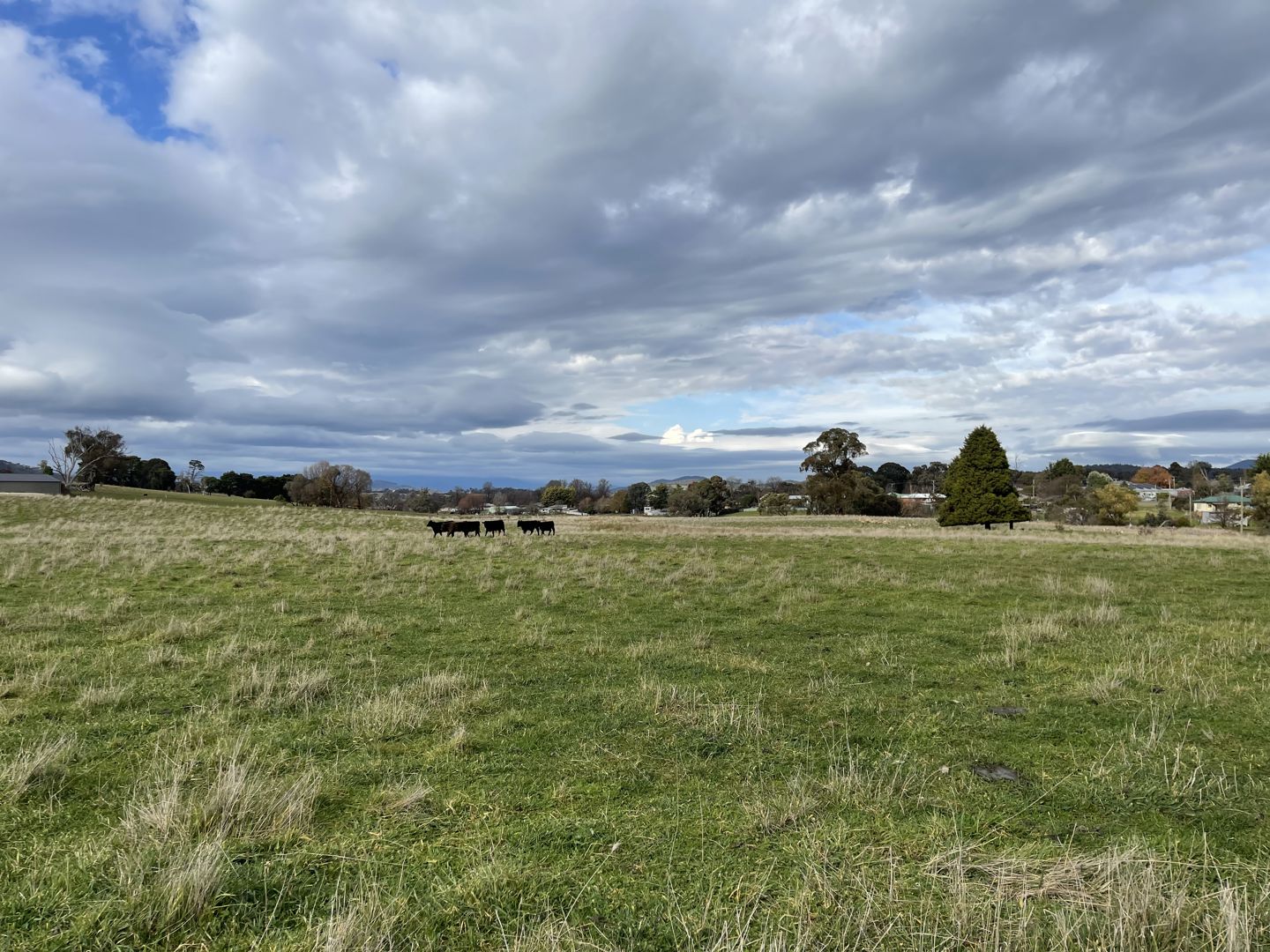  Chisholm Street Tumbarumba NSW 2653