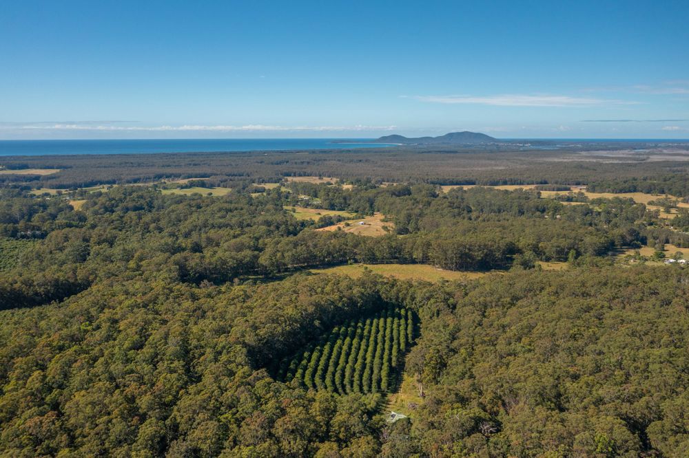 137 Browns Road Barraganyatti NSW 2441
