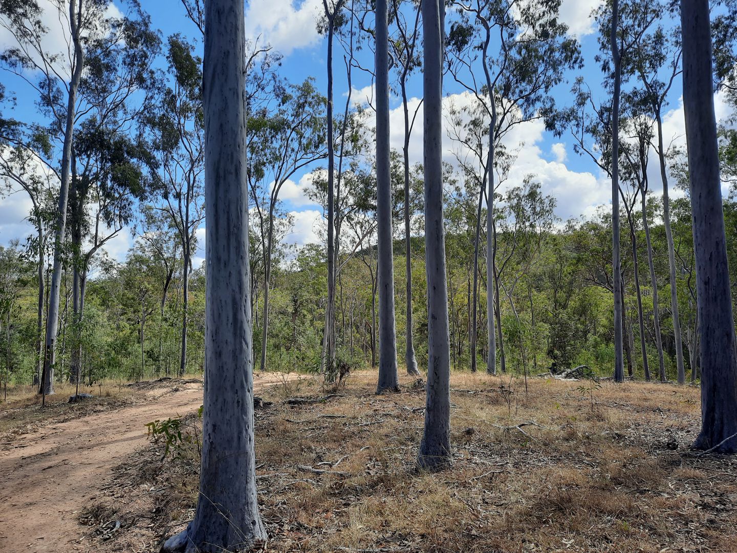 931 Nearum Rd Nearum QLD 4671