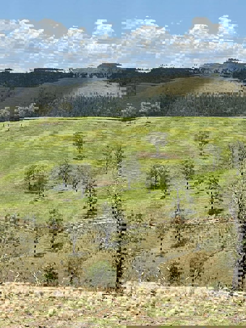 Lot 9 Silver Spur Redgate Road Silver Spur QLD 4385