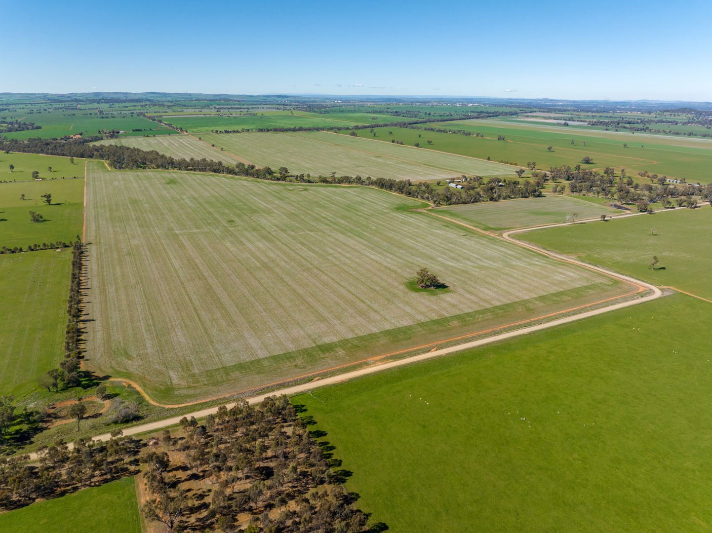 166 Mathews Road Downside NSW 2650