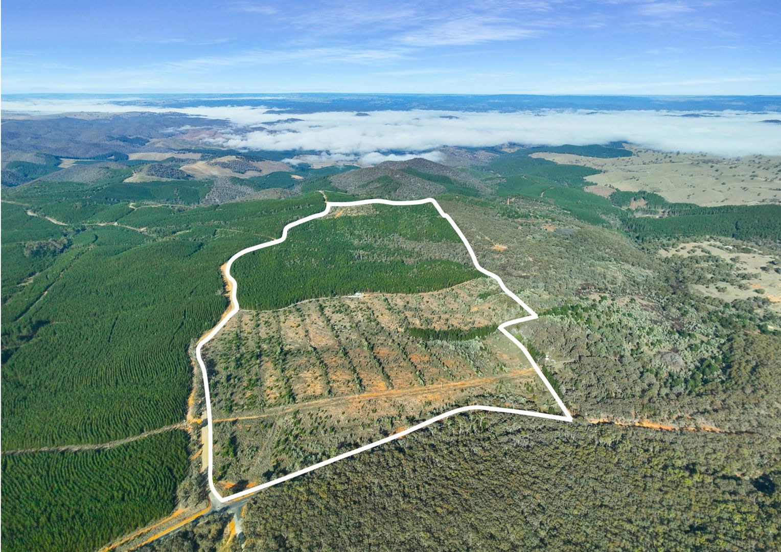 3653 Arkstone Road Burraga NSW 2795