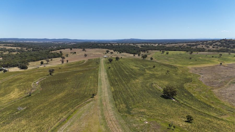 190 BROWN SPRINGS ROAD Coolah NSW 2843