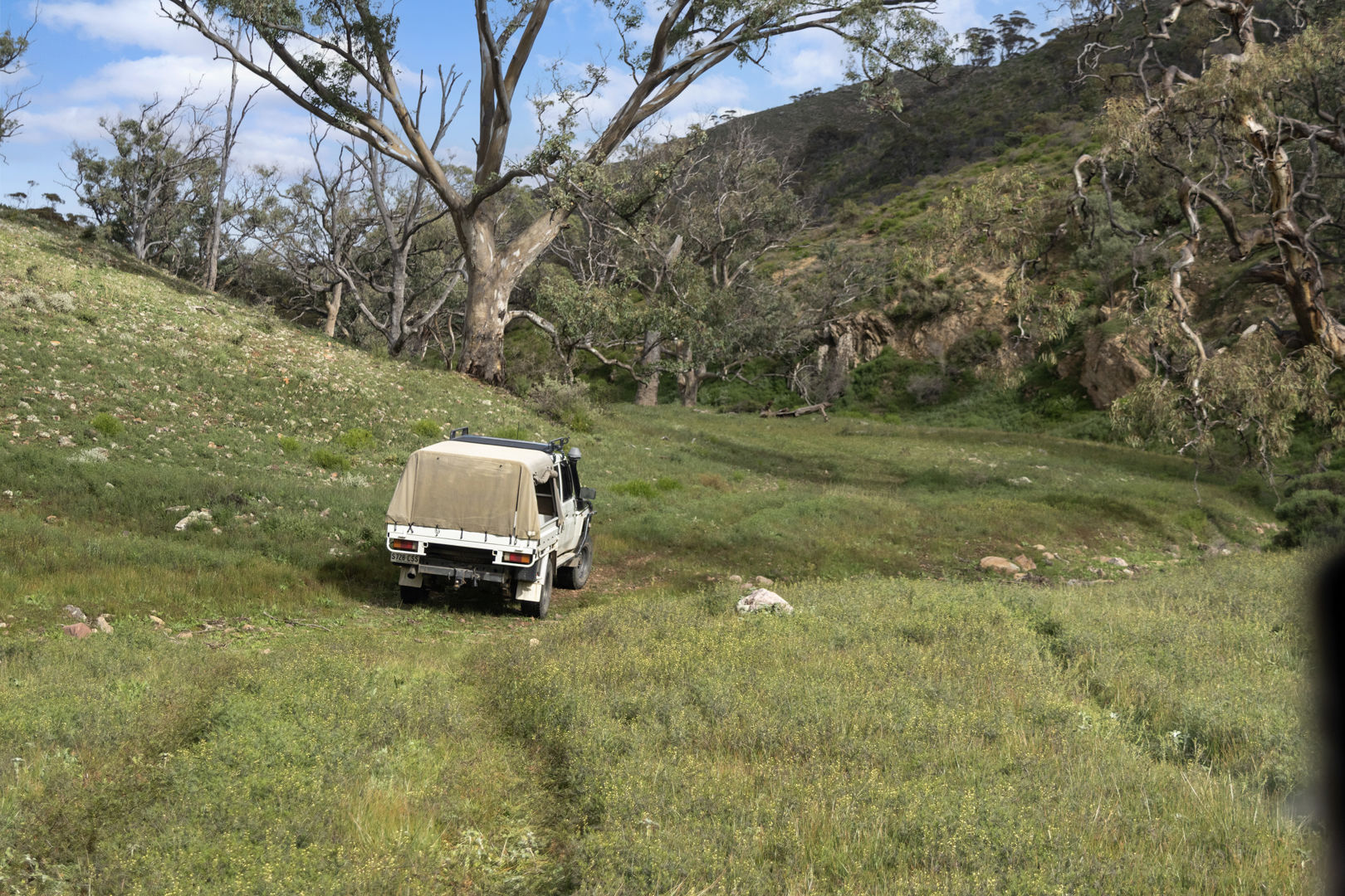 Lot 243 Flinders Ranges Way Quorn SA 5433