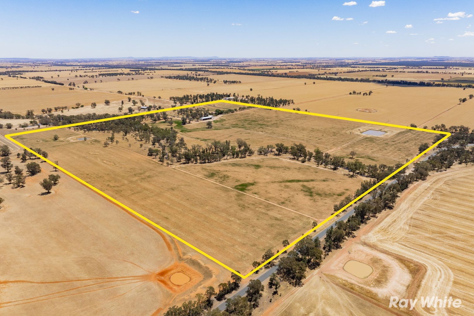 79 Croziers Lane Ganmain NSW 2702