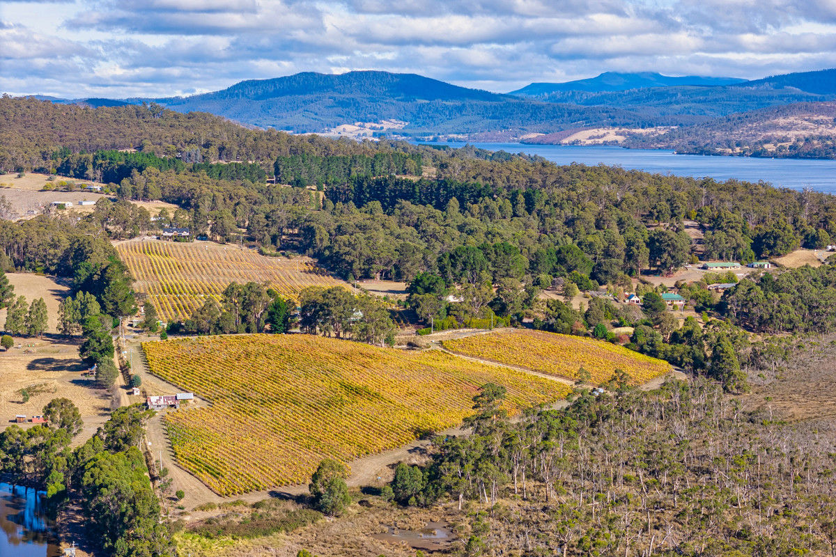 1848 Cygnet Coast Road Cradoc TAS 7109
