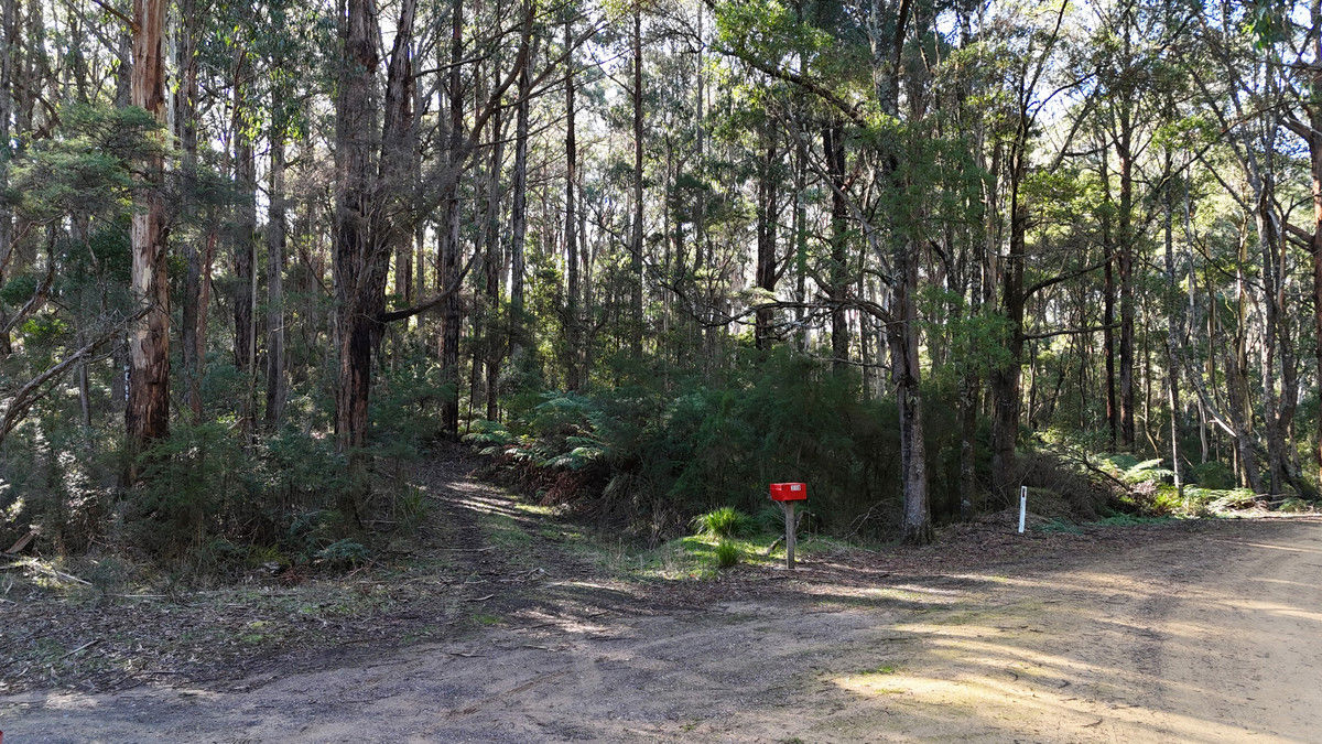 318 Old Ocean Road Glenaire VIC 3238