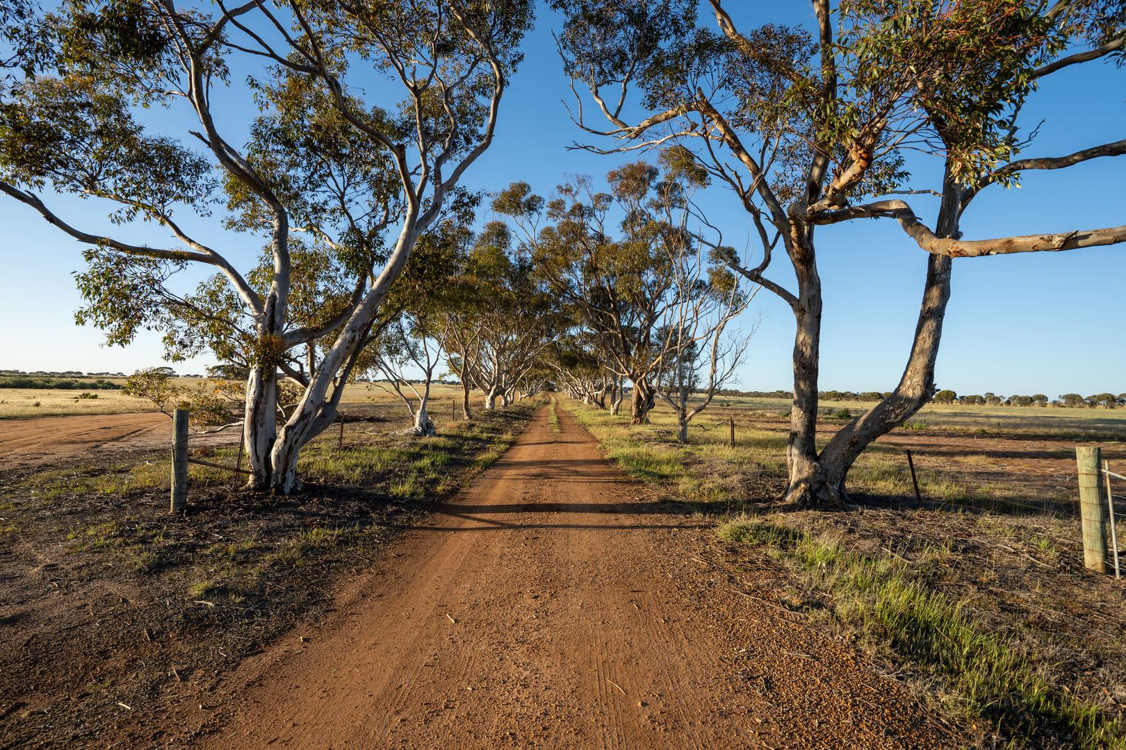 5566 Tieline Road Gnowangerup WA 6335