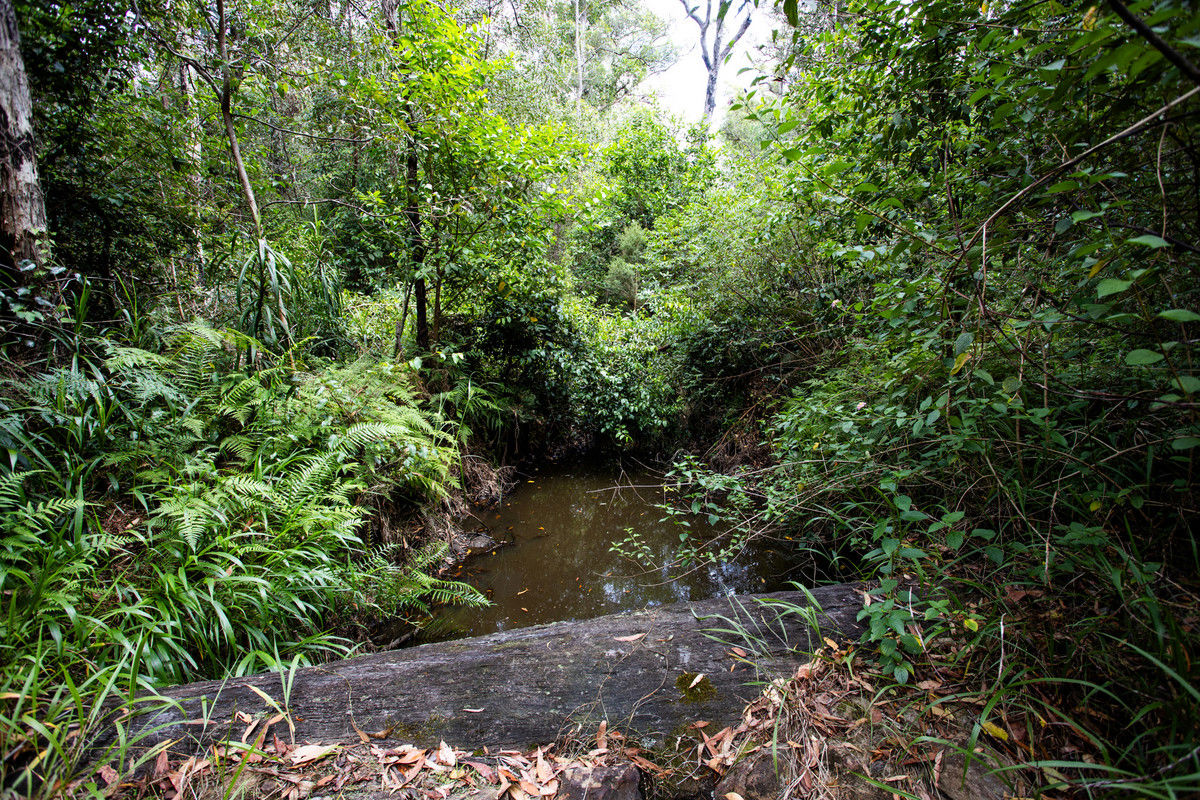 506 Tullymorgan-Jacky Bulbin Road Mororo NSW 2469