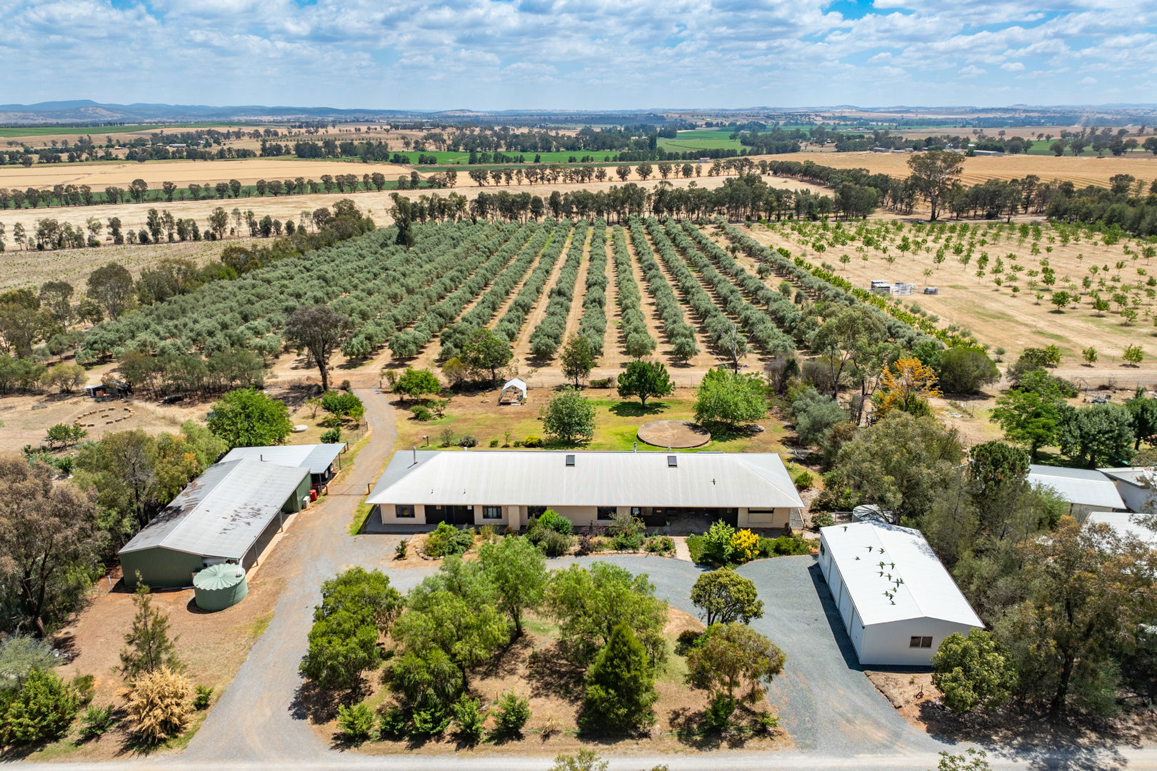 20/444 Rivers Road Canowindra NSW 2804